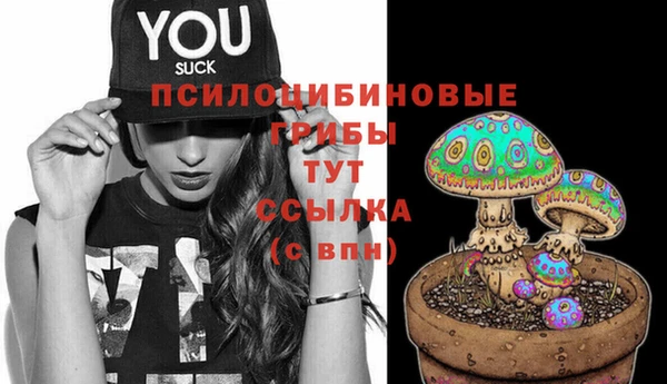 спайс Аркадак