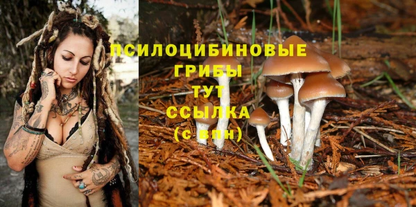 спайс Аркадак