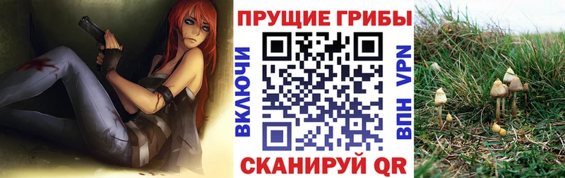 где найти наркотики ссылка на мегу сайт Псилоцибиновые грибы мухоморы Суровикино